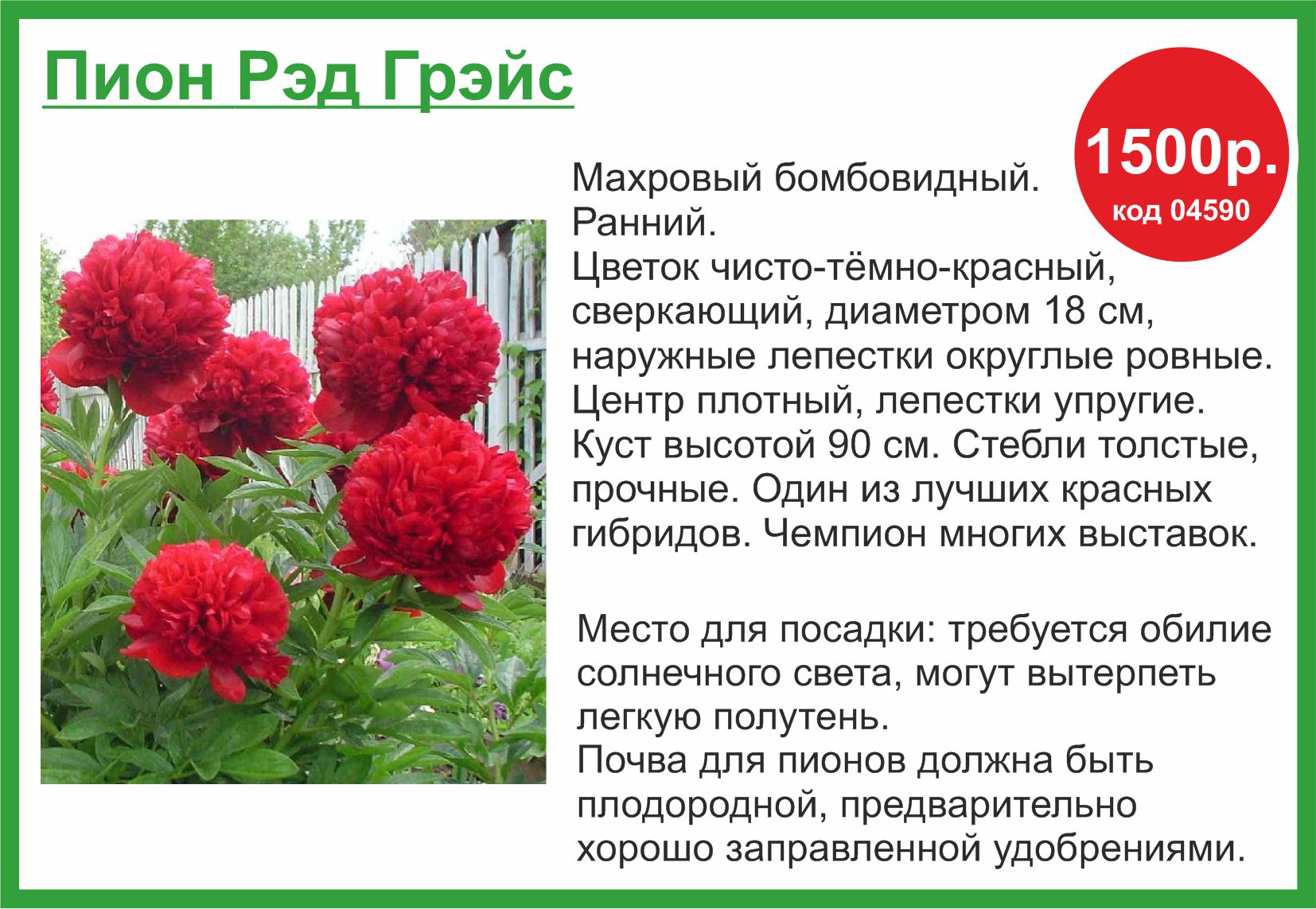 Пион 1500 в Комсомольске-на-Амуре