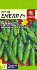 Огурец Емеля F1/Сем Алт/цп 5шт в Комсомольске-на-Амуре