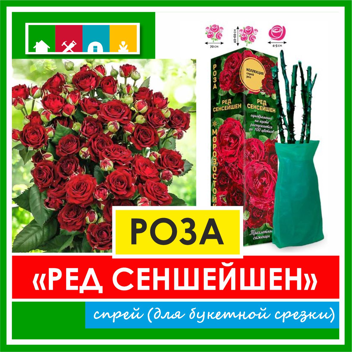 Роза в ассортименте 840 Золотая сотка Алтая в Комсомольске-на-Амуре