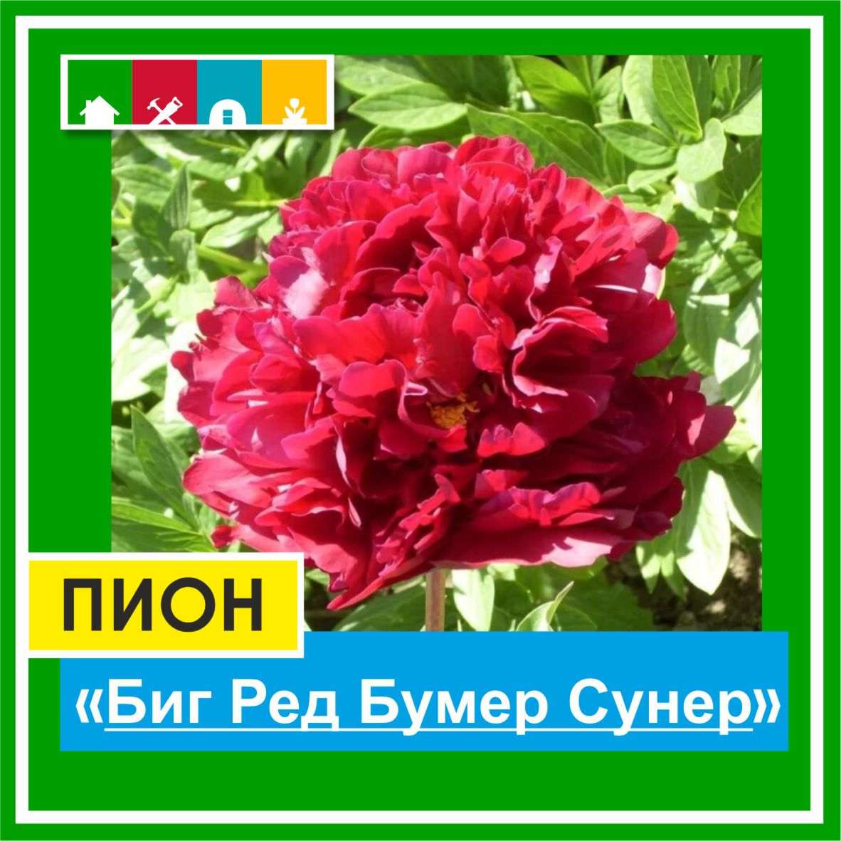 Пион 1500 в Комсомольске-на-Амуре