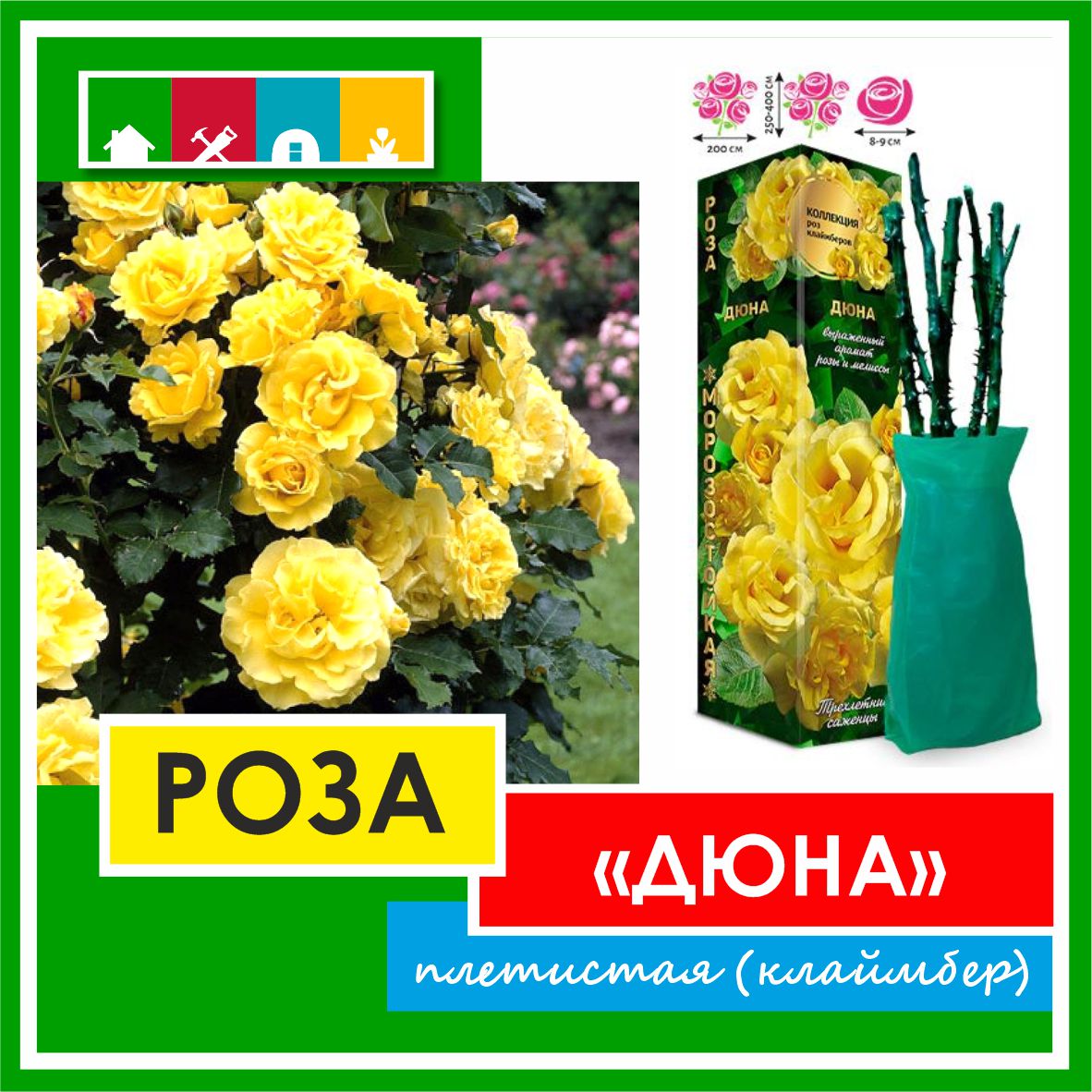 Роза в ассортименте 840 Золотая сотка Алтая в Комсомольске-на-Амуре