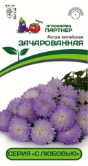 Астра кит.Зачарованная (5 шт.в амп) Партнер в Комсомольске-на-Амуре