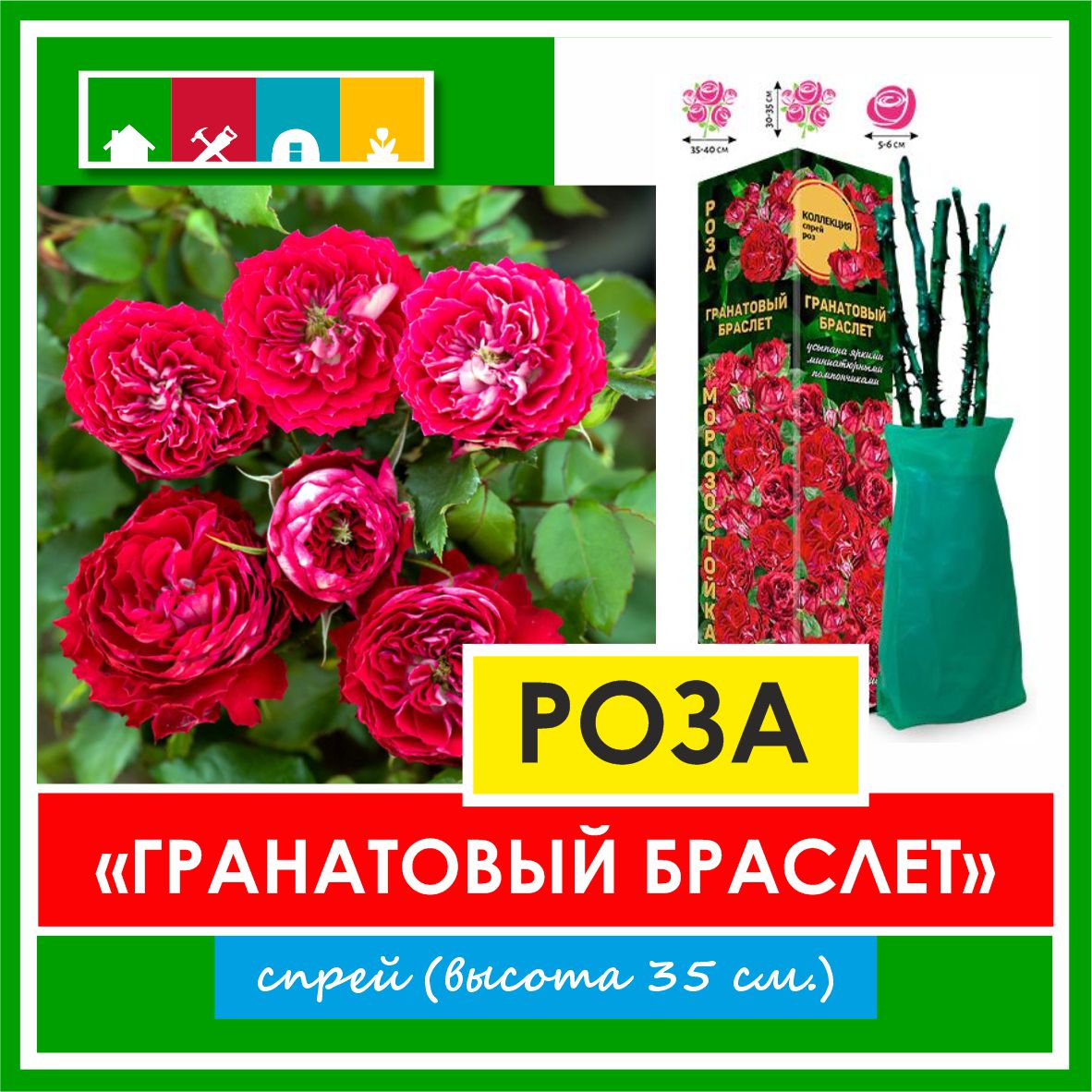 Роза в ассортименте 840 Золотая сотка Алтая в Комсомольске-на-Амуре