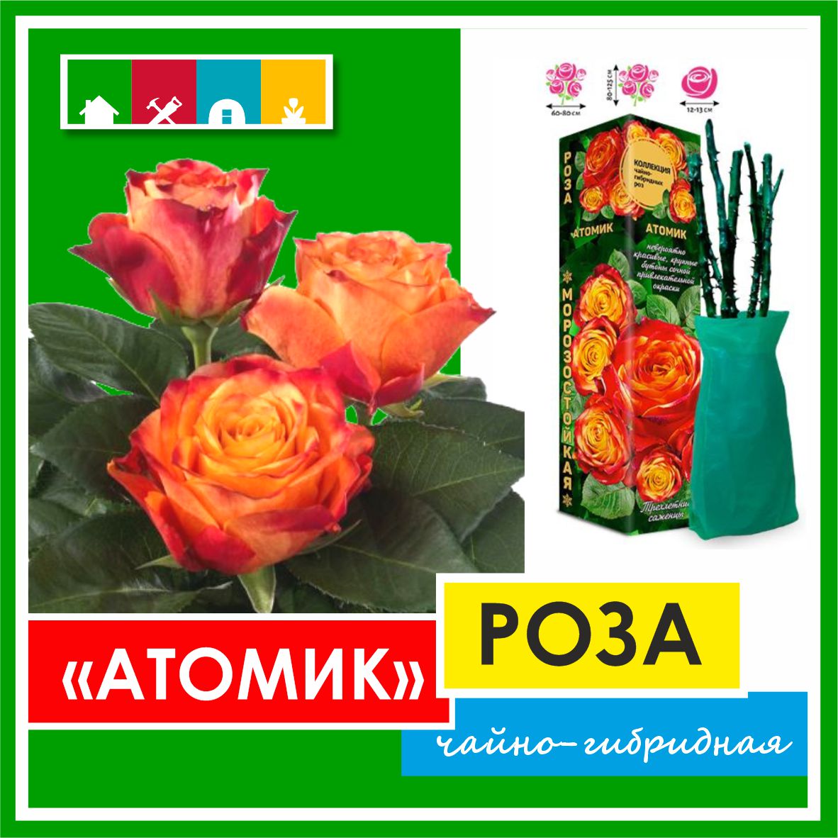 Роза в ассортименте 840 Золотая сотка Алтая в Комсомольске-на-Амуре