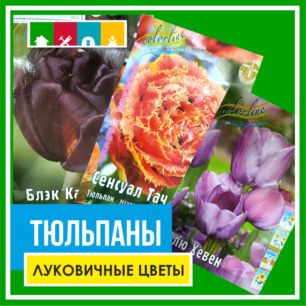Тюльпан 130 в Комсомольске-на-Амуре