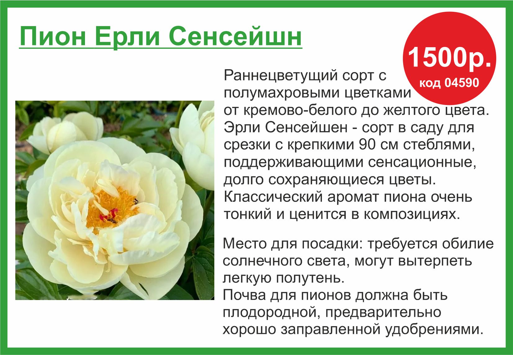 Пион 1500 в Комсомольске-на-Амуре