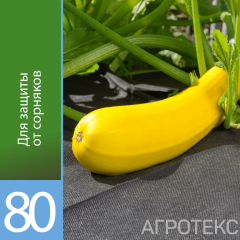 Агротекс Профф 80 черный 3,2*10 (рул) (св 0,8м) в #REGION_NAME_DECLINE_PP#