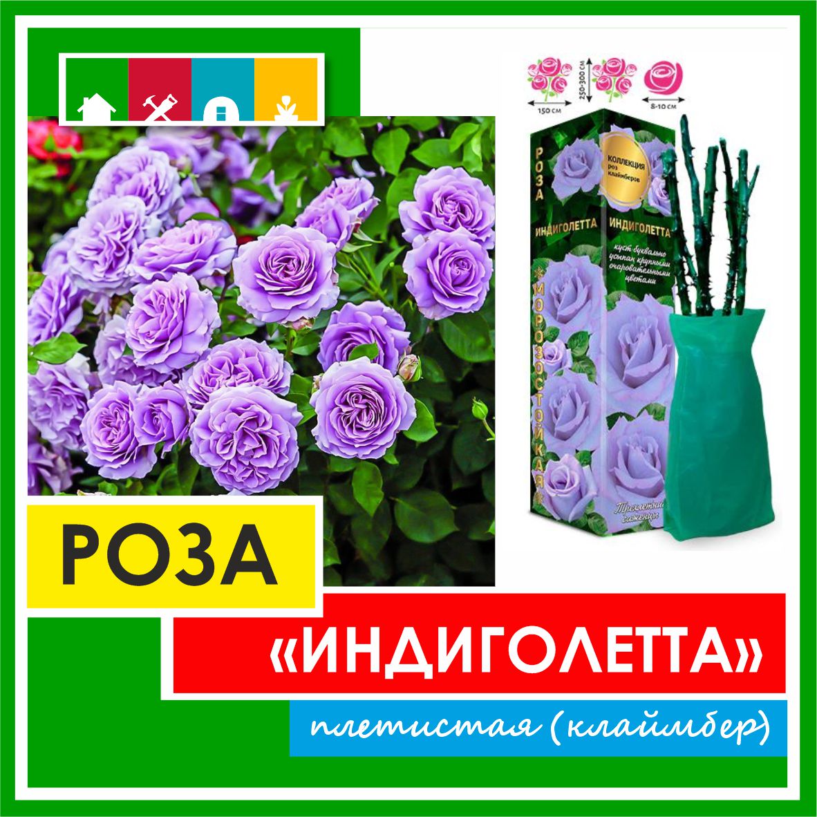 Роза в ассортименте 840 Золотая сотка Алтая в Комсомольске-на-Амуре