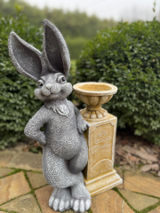 Зайчик Аполлон в #REGION_NAME_DECLINE_PP#