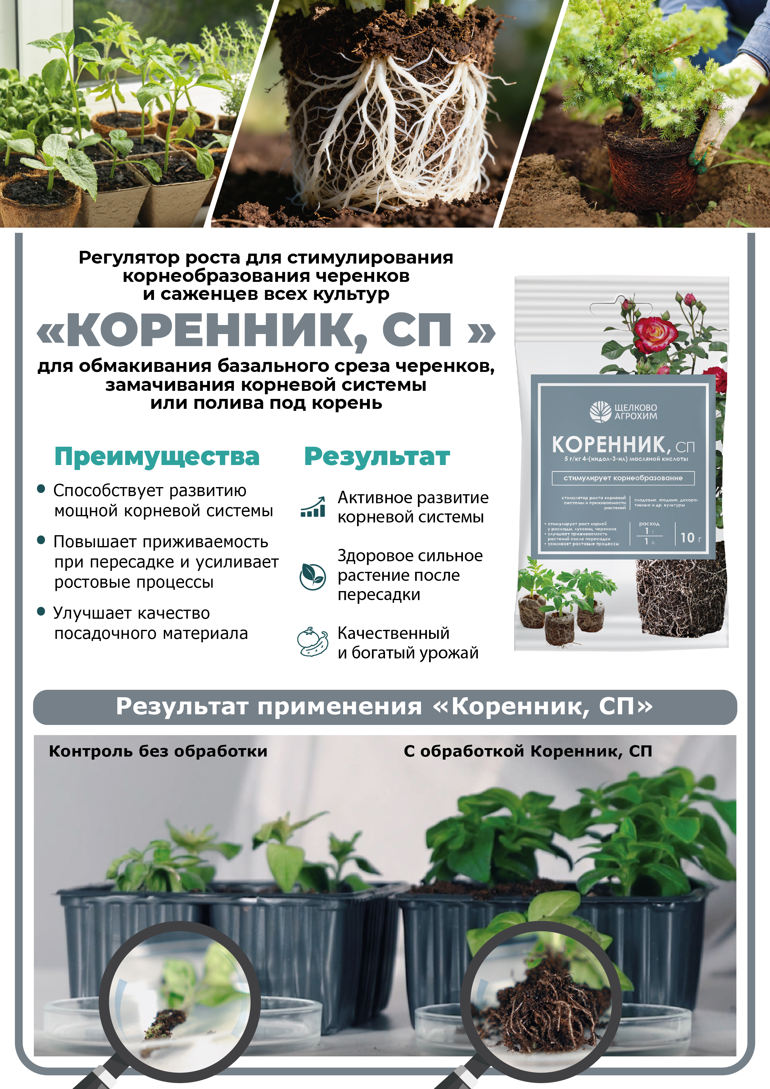 Коренник, СП пакет 5 г в Комсомольске-на-Амуре