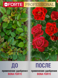 Уд. водорастворимое для пионов и роз пакет 100г(10) Bona Forte в Комсомольске-на-Амуре