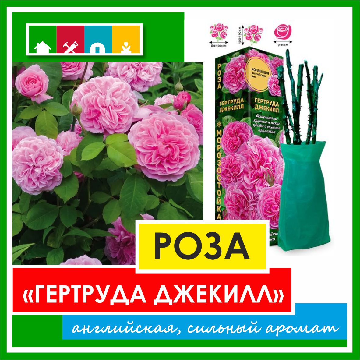 Роза в ассортименте 840 Золотая сотка Алтая в Комсомольске-на-Амуре