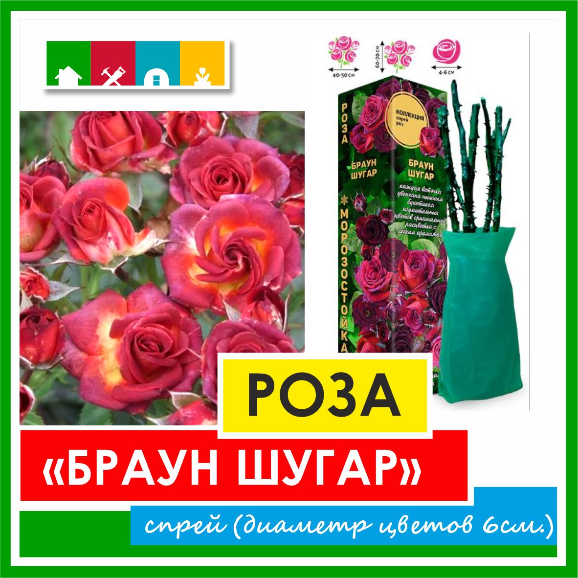 Роза в ассортименте 840 Золотая сотка Алтая в Комсомольске-на-Амуре