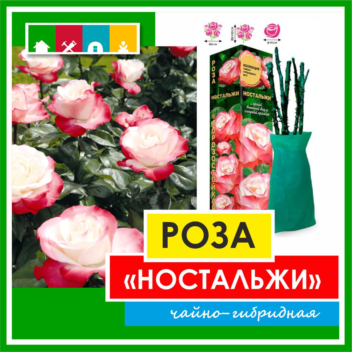 Роза в ассортименте 840 Золотая сотка Алтая в Комсомольске-на-Амуре