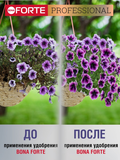 Уд. водорастворимое для петуний,пеларгоний и других ампельных пакет 100г(10) Bona Forte в Комсомольске-на-Амуре