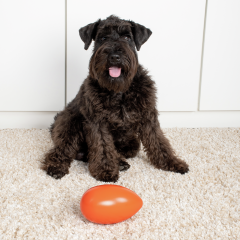  Игрушка для собак Неуловимое яйцо(уп6) в #REGION_NAME_DECLINE_PP#