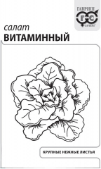 Салат Витаминный б/п 0,5г (Гавриш) в #REGION_NAME_DECLINE_PP#