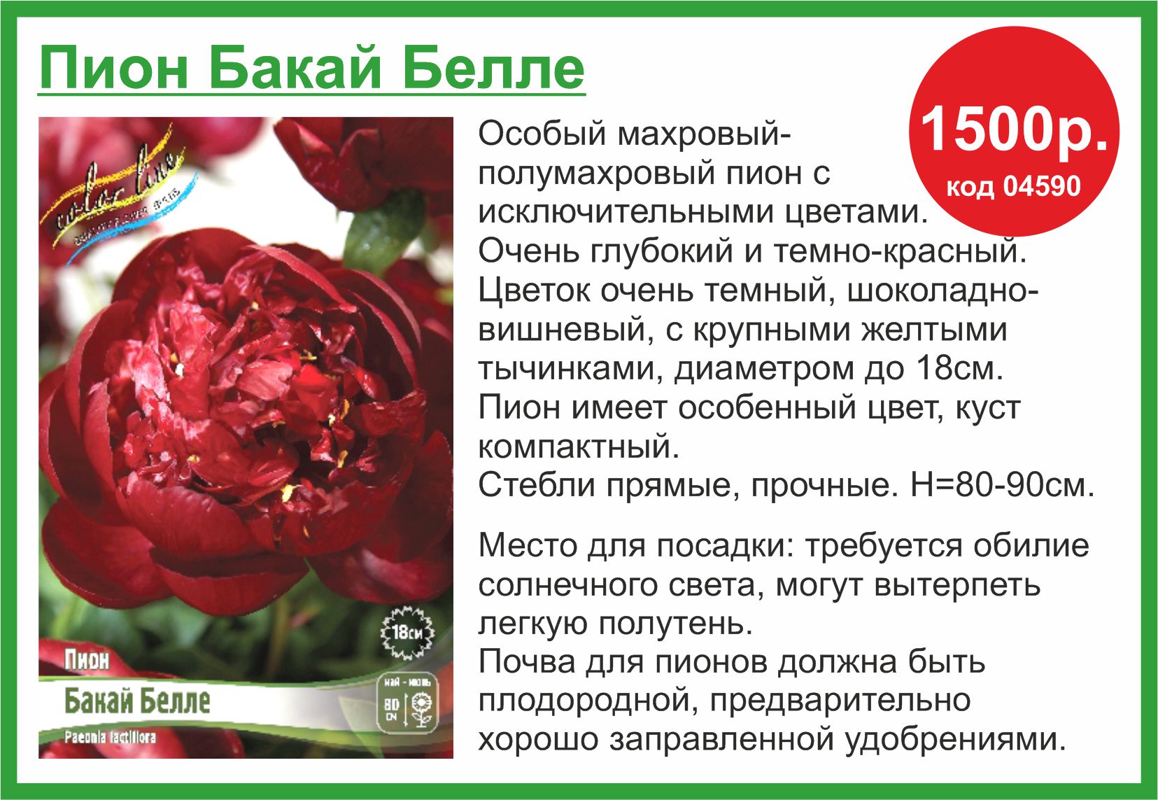 Пион 1500 в Комсомольске-на-Амуре