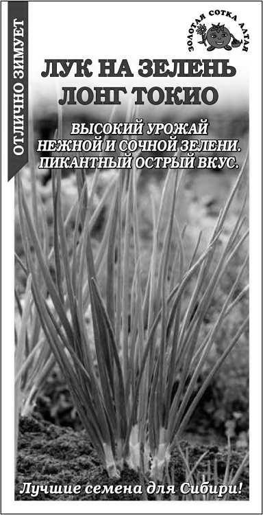 Лук на зелень Лонг Токио(Сотка)б/п 0,2 гр. в Комсомольске-на-Амуре