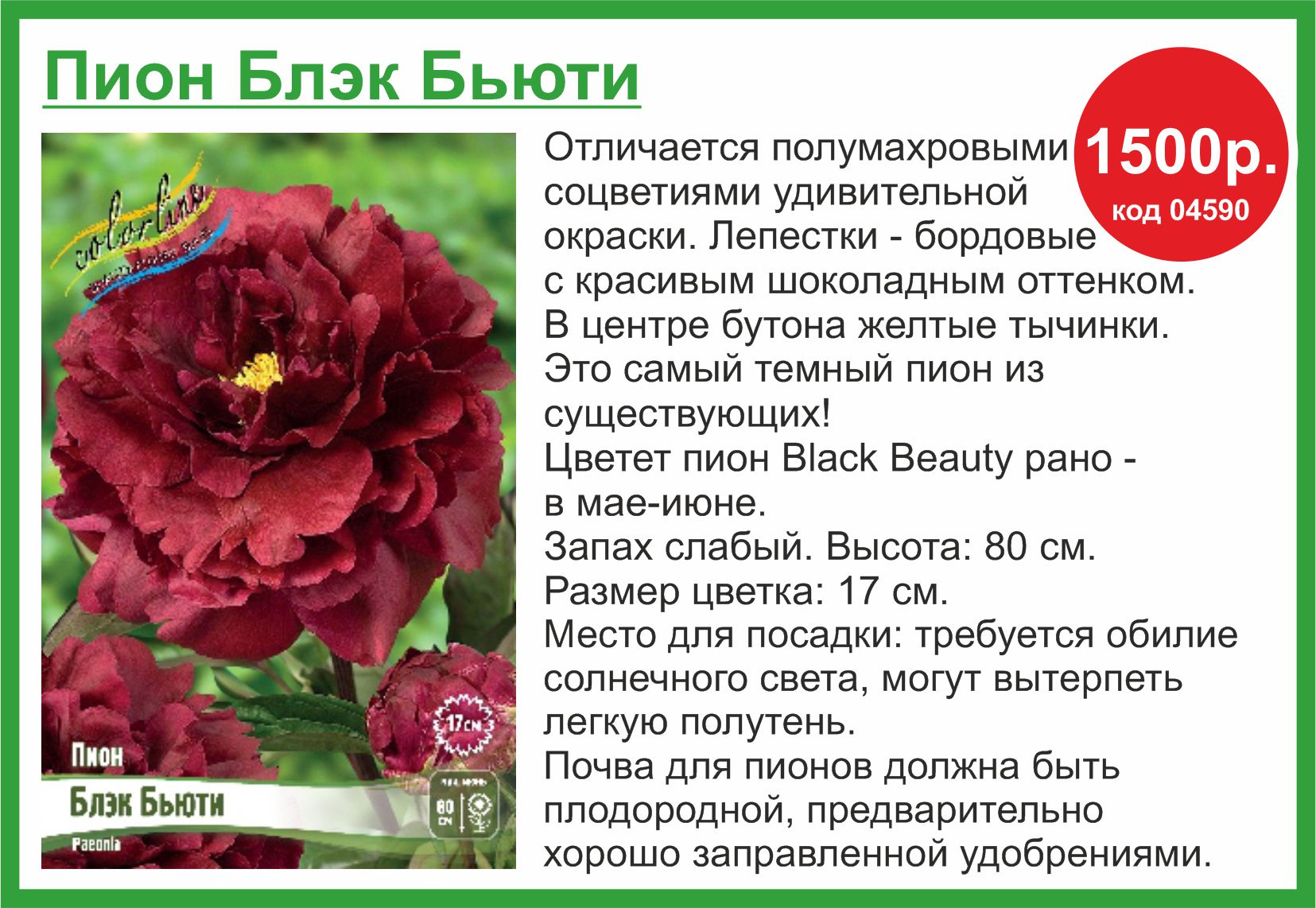 Пион 1500 в Комсомольске-на-Амуре