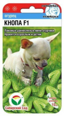 Огурец Кнопа 7шт (Сиб Сад) в #REGION_NAME_DECLINE_PP#