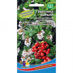 Брусника Коралл(УД) в Комсомольске-на-Амуре