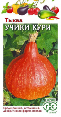 Тыква Учики Кури 5шт(Гавриш) в #REGION_NAME_DECLINE_PP#