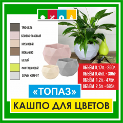 Кашпо "Топаз "(0,17л) в асс в #REGION_NAME_DECLINE_PP#