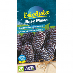 Ягода Ежевика Блэк Мама крупноплодная/Сем Алт/цп 0,03гр в #REGION_NAME_DECLINE_PP#
