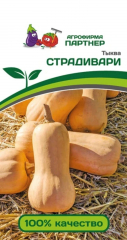 Тыква Страдивари (10шт) Партнер в Комсомольске-на-Амуре