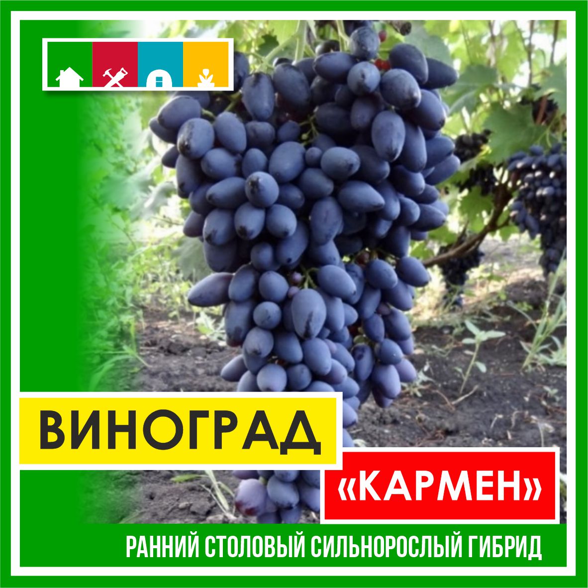 Виноград в асс./Сем.Алтая/ 1 шт.в коробке в Комсомольске-на-Амуре