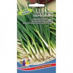 Лук на зелень Перфоманс(УД) в #REGION_NAME_DECLINE_PP#