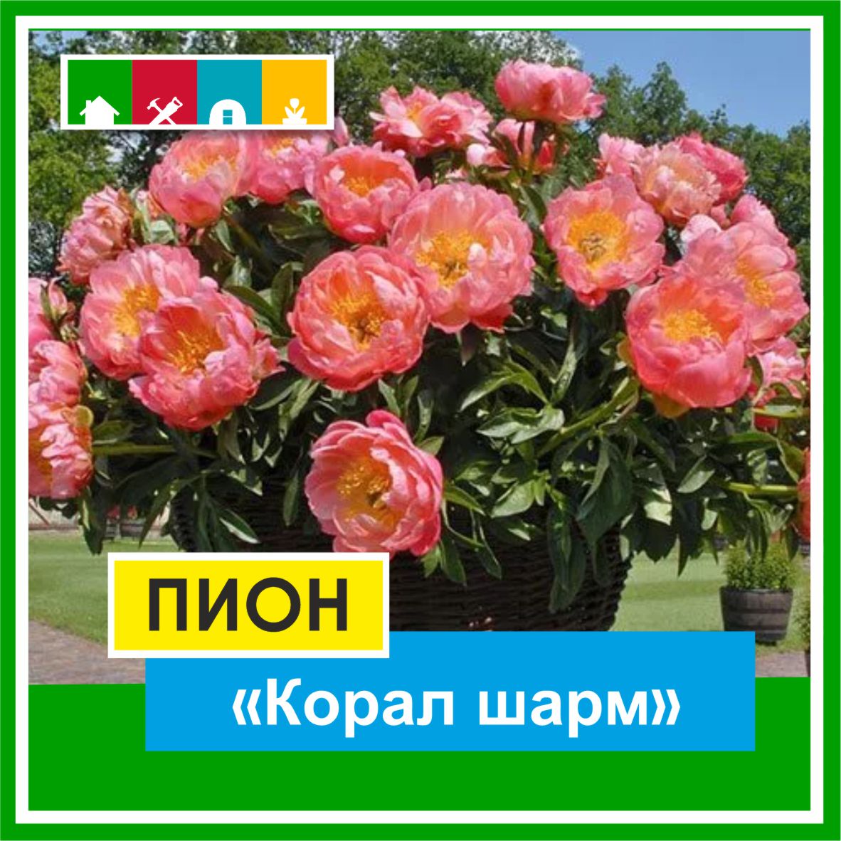 Пион 1500 в Комсомольске-на-Амуре