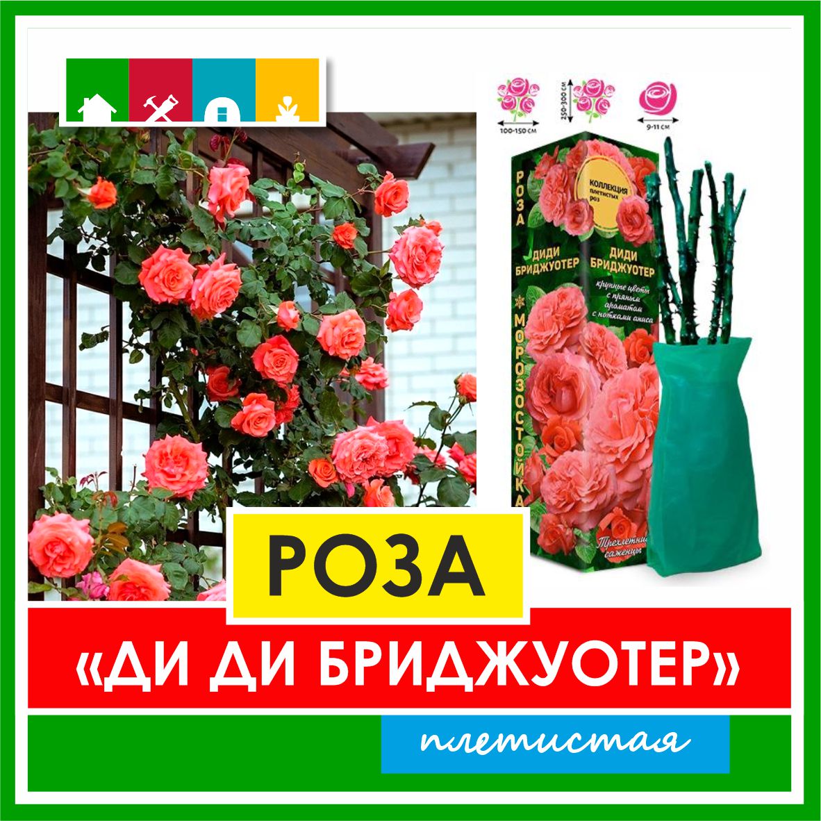 Роза в ассортименте 840 Золотая сотка Алтая в Комсомольске-на-Амуре