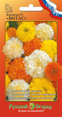 Бархатцы Битлс смесь  F1 (12шт) в Комсомольске-на-Амуре