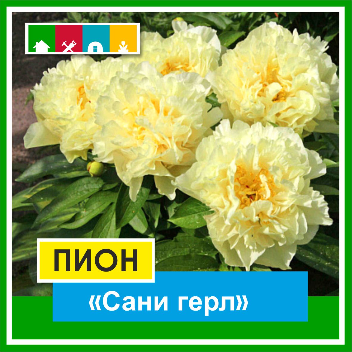 Пион 1500 в Комсомольске-на-Амуре