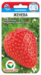 Земляника Женева 10шт (Сиб Сад) в #REGION_NAME_DECLINE_PP#