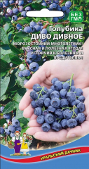 Голубика Диво дивное (УД) в #REGION_NAME_DECLINE_PP#