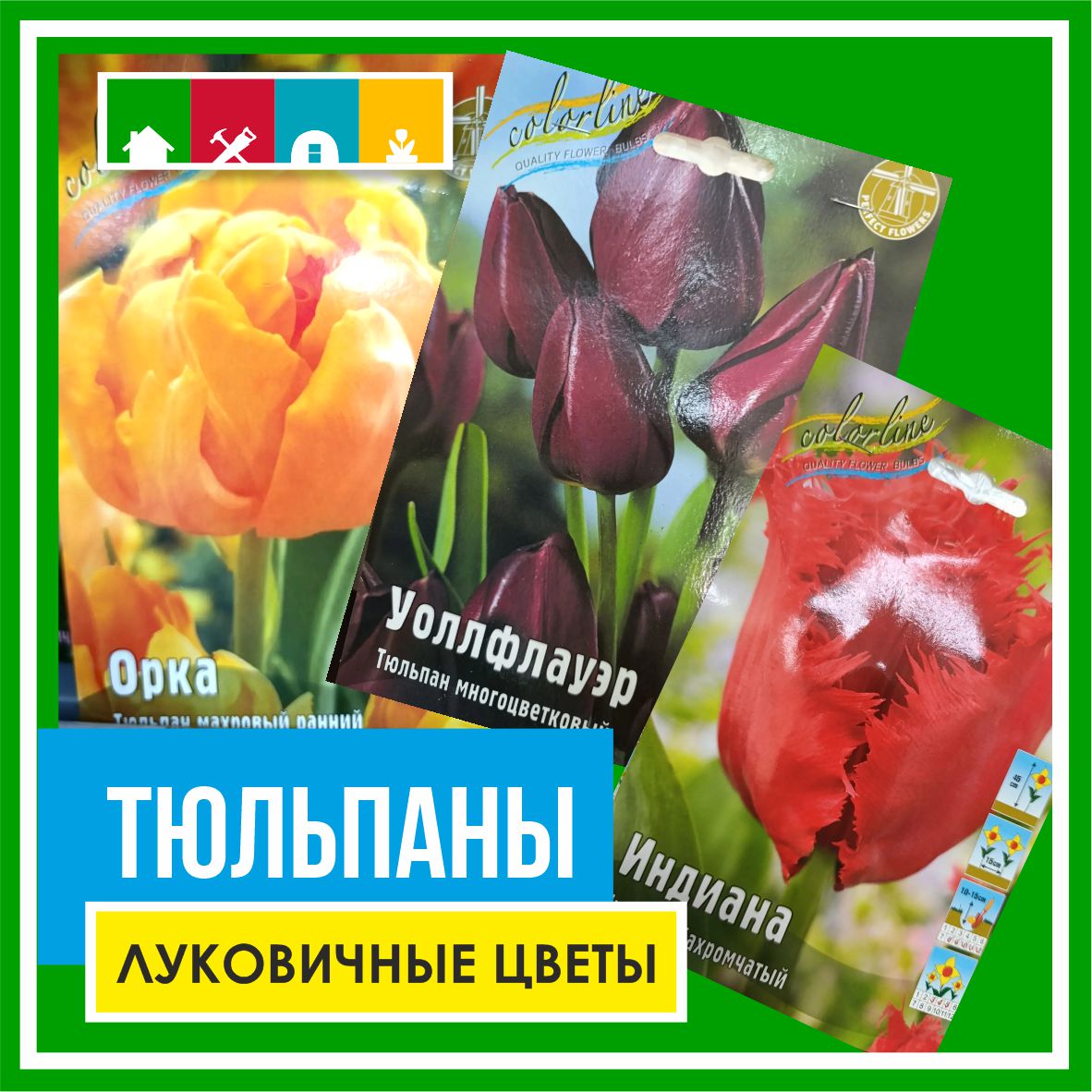 Тюльпан 130 в Комсомольске-на-Амуре