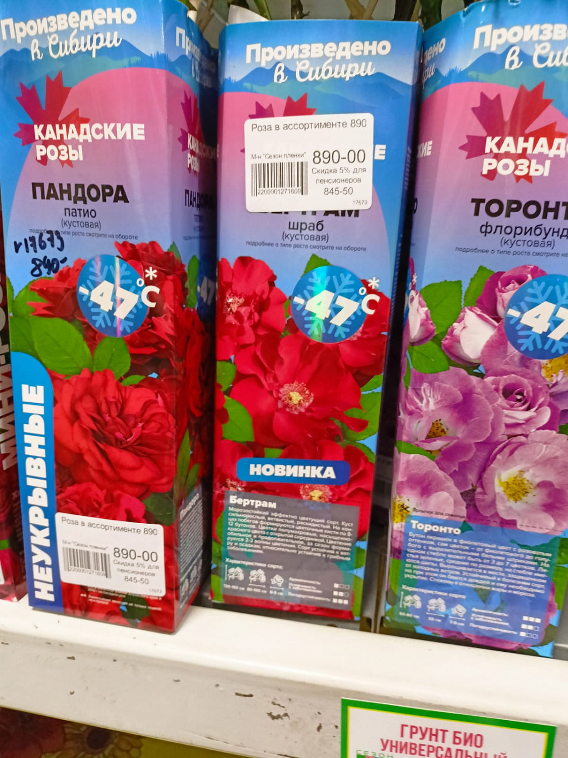 Поступление роз